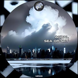 Sea or Sky