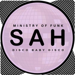 Ministry Of Funk - Disco Baby Disco
