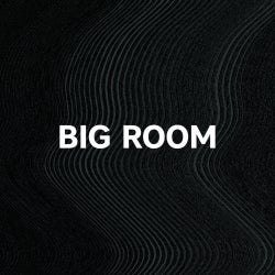 Biggest Basslines: Big Room