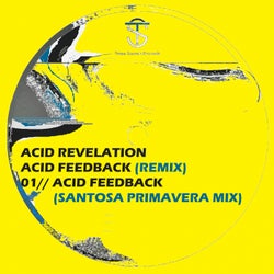 Acid Feedback (Santosa Primavera Mix)