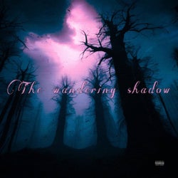 The Wandering Shadow
