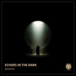 Echoes in the dark