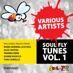 Soul Fly Tunes Vol. 1