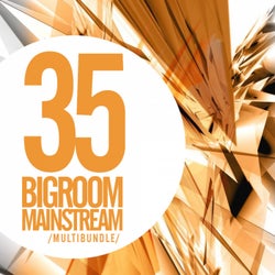35 Bigroom Mainstream Multibundle