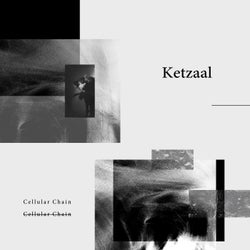Cellular Chain