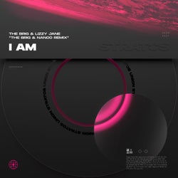 I Am (The Brig & Nanoo Remix)