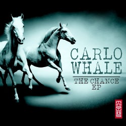 Carlo Whale-June Top 10