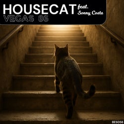 Housecat