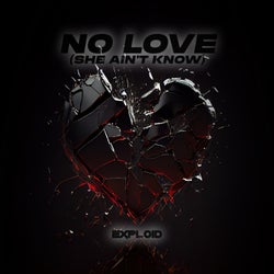 No Love (She Ain't Know)