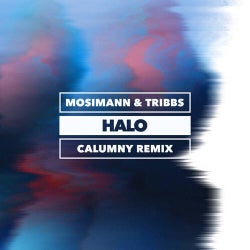 Halo (Calumny remix (Extended mix))