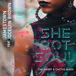 She Got Soul - The Harry and Cactus Mixes