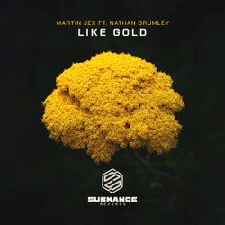 Like Gold (feat. Nathan Brumley)