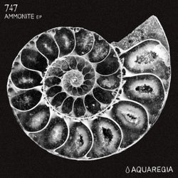 Ammonite EP