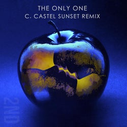 The Only One (feat. Meghan Montenegro) [C. Castel Sunset Remix]