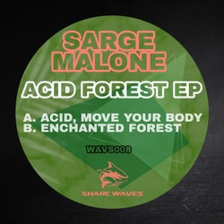 Enchanted forest (original mix)