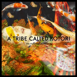 A Tribe Called Kotori - Chapter Two