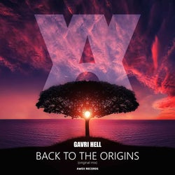 Back to the Origins (Original Mix)