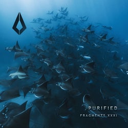 Purified Fragments XXXI
