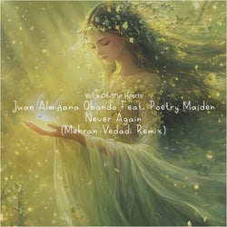 Never Again (Mehran Vedadi Remix)