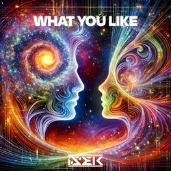 What You Like (Extended Mix)