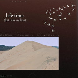 Lifetime (feat. Luke Coulson)