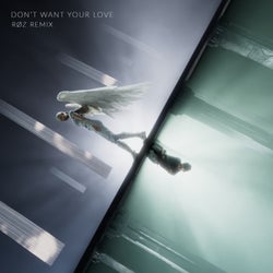 Don't Want Your Love (RØZ Extended Remix)