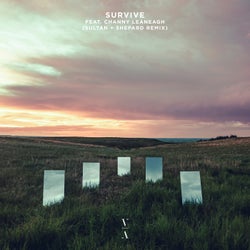 Survive (Sultan + Shepard Remix)