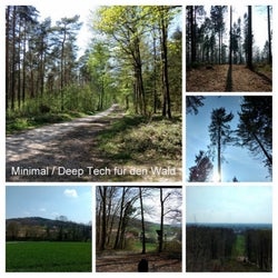 Minimal Deep Tech Fur Den Wald