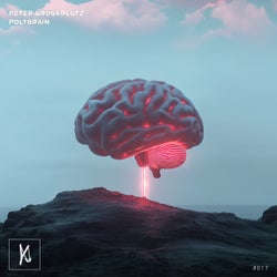 Polybrain