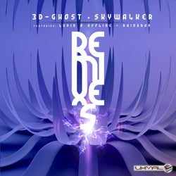 Remixes (3D Ghost & Skywalker Remix)