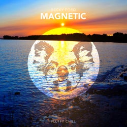 Magnetic