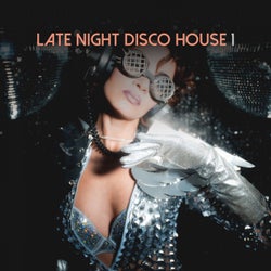 Late Night Disco House, Vol. 1