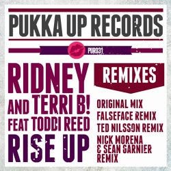 Rise Up (What Can I Do?) [Ridney & Terri B! feat. Toddi Reed]