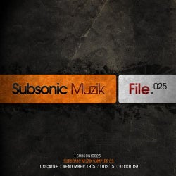 Subsonic Muzik Sampler 03