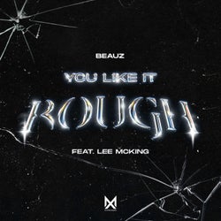 You Like It Rough (feat. Lee McKing) (Extended Mix)