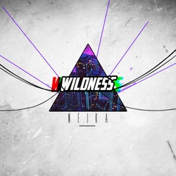 Super Solid 05: Wildness