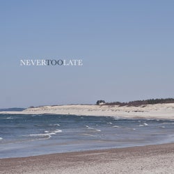 Never Too Late