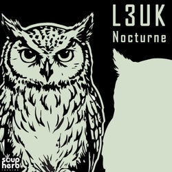 Nocturne