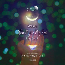 You Make Me Feel Remixes