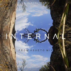Internal (From Asueto Mix)