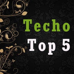 Techo Top 5