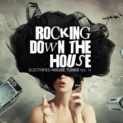 Rocking Down The House - Electrified House Tunes Vol. 14