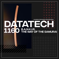 The Way Of The Samurai