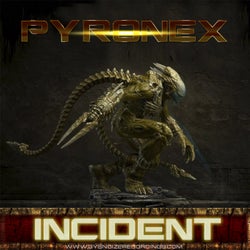 Incident - Single