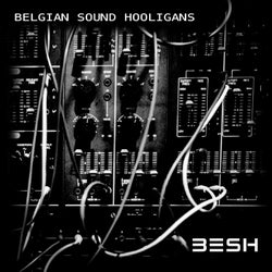 Belgian Sound Hooligans