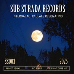 No Sleep (Late Night Club Mix)