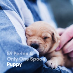 Puppy (feat. Only One Spoon)