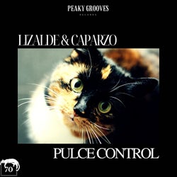 Pulce Control