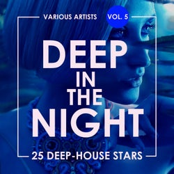 Deep In The Night, Vol. 5 (25 Deep-House Stars)