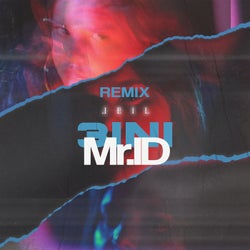 3ini (Mr. ID Remix)